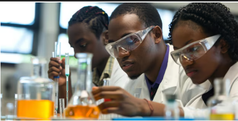 STEAM Education Program (SEP)  - Image 1